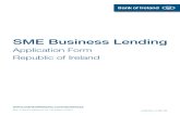 d3749 Boi Sme Business Lending App Form Feb 2012 7
