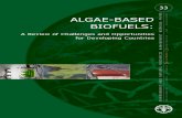 Biocombustible a Base de Alga