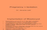 Pregnancy n Lactation