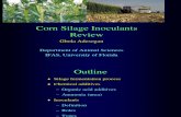 Corn Silage Inoculants Review