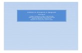 CS3211 Project Report
