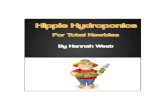 129473174 Hippie Hydroponics for Total Newbies
