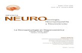 Ardila a Ed 2009 La Neuropsicologc3ada en Hispanoamc3a9rica Neuropsicologia Neuropsiquiatria y Neurociencias Vol 9 n2