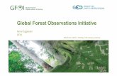 1_Global Forest Observations Initiative Intro