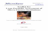 Loan Portfolio Assessment Toolkit