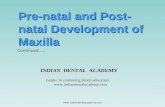 Pre-natal and Post-natal Development of Maxilla Part 4 / orthodontic courses by Indian dental academy