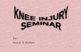 Knee injury (orthopaedic)