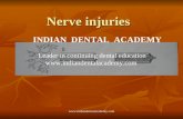 Nerve Injuries1 / orthodontic courses by Indian dental academy