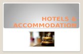 Hotels & Accommodation