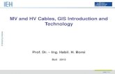 27_Borsi_MV HV Cables GIS Intro and Technology.pdf