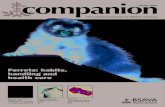 Companion April2009