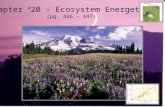 Lecture - Chapter 23 - Ecosystems
