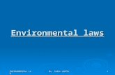 25920323 Environmental Laws