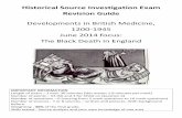 Historical Source Investigation Exam Revision Guide