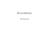 Brucellosis 2
