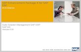 SAP ECC Ehp4 - At a Glance