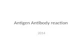 Antigen Antibody Reaction 2014