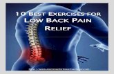 Best Exercises for Low Back Pain