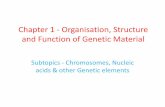 Chromosomes, Nucleic Acids & Other Genetic Elements