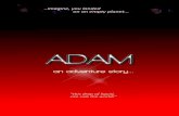 ADAM-Finding the Straight Road Adventure Story