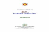 Preliminary Report on Economic Census 2013