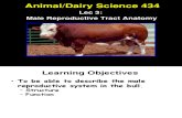 Animal Diary science 434
