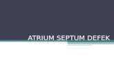 Atrium Septum Defek