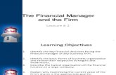 Strategic Finance Lecture 2