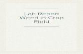 Lab Report Weed in Crop Field