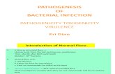 Pathogenesis of Bacterial Infection and Flora Normal