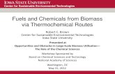 Fuels and Chemicals From Biomass