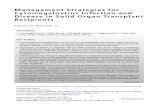 Citomegalovirus en Postranplantados