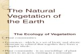 POWERPOINTThe Natural Vegetation of the Earth