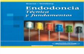 Endodoncia - Endodoncia, Técnica y Fundamentos soares