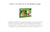 How to Have a Healthy Dog