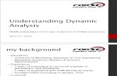 Understanding Dynamic Analysis v8