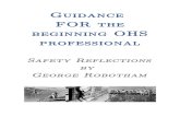 Guidance for OHS Professionals V2