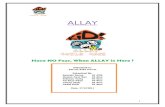Allay Final Marketing Report