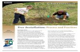 Tree Planting Details Process