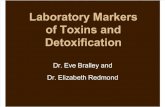 Detoxification Companion Doc