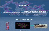 Protein (Structures and Functions)