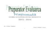 Preparator Evaluarea Nationala 2014