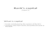 banking principle - capital