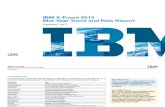 IBM - Trend and Risk Report Mid Year 2013