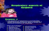 200809_Dyspnea - Respirology Aspects