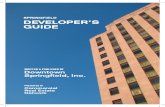 DSI's Downtown Developer's Guide