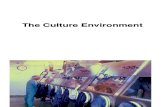 Culture Environment