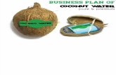 Business Plan of Coconut Water