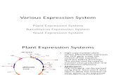 Various Expression System