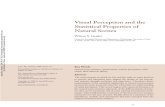 Visual Perception and the Statistics of Visual Scenes